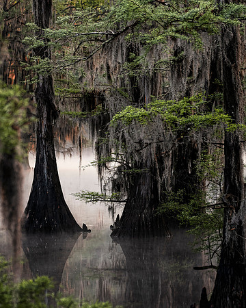 Caddo26Apr 0016