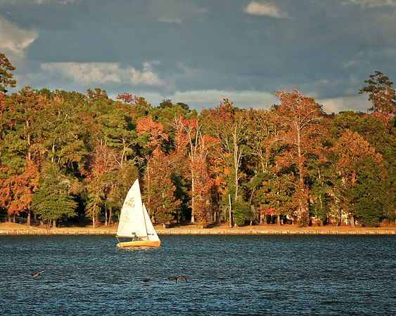 Autumn Sail