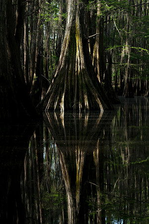Caddo27Apr 0477