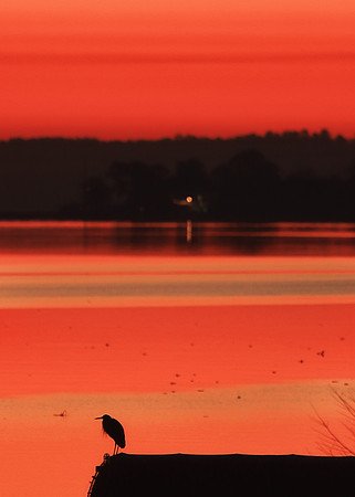 January Dawn