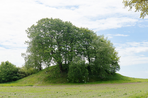Viking Burial Mound