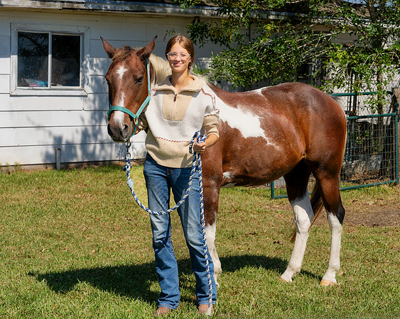 Horse Herd00006
