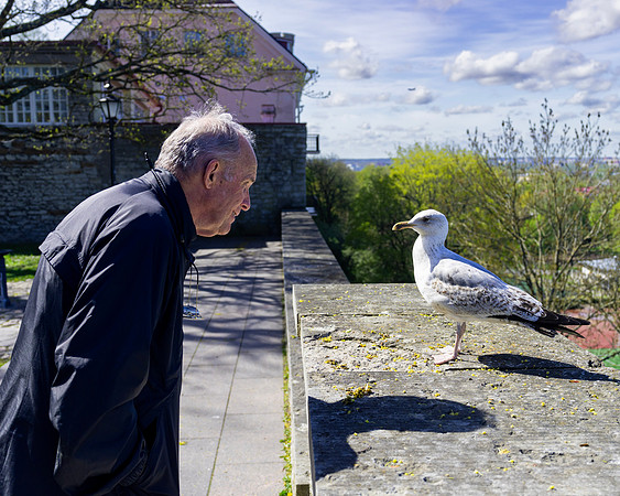 Sandy and Gull2