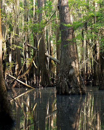 Caddo27Apr 0423