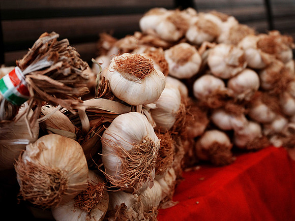 GARLIC!