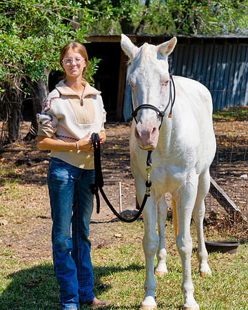Horse Herd00005