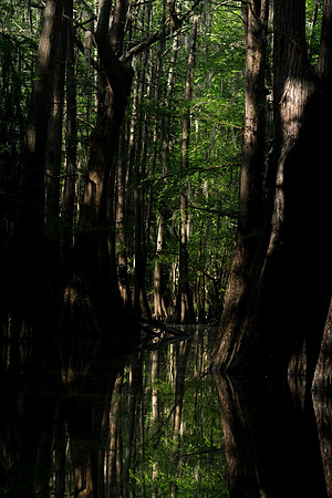 Caddo27Apr 0471
